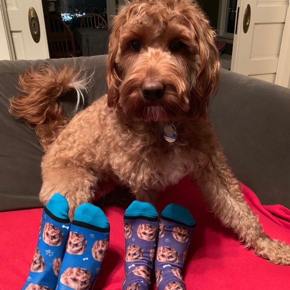 Meet your Posher - Picture 3 of 3